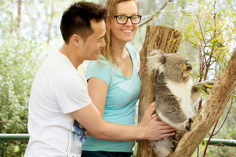 Mt Lofty YHA - Darwin Holiday 6