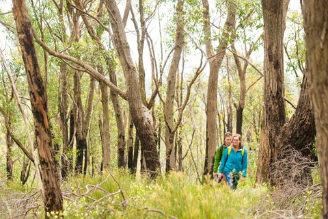 Mt Lofty YHA - Darwin Holiday 8