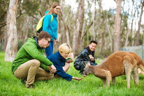 Mt Lofty YHA - Darwin Holiday 7