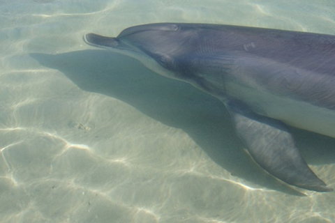 Bunbury YHA - Darwin Holiday 6