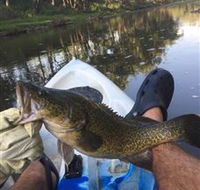 Dumaresq Homestead - Darwin Holiday