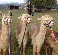 Bunyip Springs Farmstay - Darwin Holiday