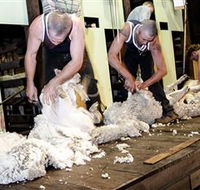 The Woolshed at Jondaryan Caravan and Camping - Darwin Holiday