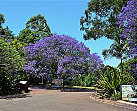 Ravensbourne Escape - Darwin Holiday 1