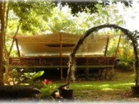 Cedar Park Rainforest Resort - Darwin Holiday 2