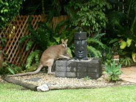 Bluewater Bed And Breakfast Cairns - Darwin Holiday 3