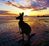 Cape Hillsborough Nature Tourist Park - Darwin Holiday
