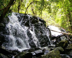 Bellthorpe Stays - Nature's Retreat - Darwin Holiday 1