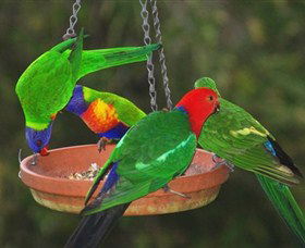 Bellthorpe Stays - Nature's Retreat - Darwin Holiday 3