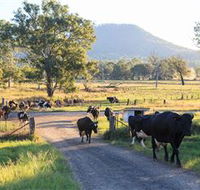 Tommerups Dairy Farmstay - Darwin Holiday