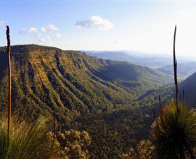 O'Reilly's Rainforest Retreat - Darwin Holiday 3