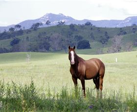 Marchioness Farmstay - Darwin Holiday 1