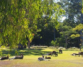 Bellmere On Richards - Darwin Holiday 2