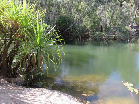 Bitter Springs Cabins And Camping - Darwin Holiday 7