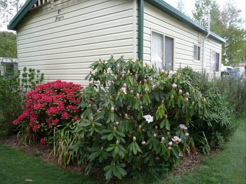 Jenolan Caravan Park - Darwin Holiday 2