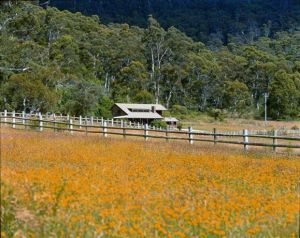 Pender Lea Alpine Guest Accommodation - Darwin Holiday 1