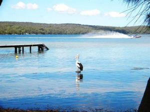 Dungowan Waterfront  Accommodation - Darwin Holiday 0