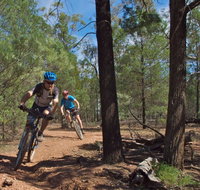 Back Yamma State Forest - Darwin Holiday