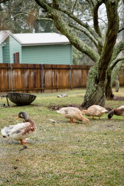 Mount Victoria Manor - Darwin Holiday 3