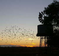 Nevertire Hotel - Darwin Holiday