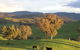 Old Bara Farmstay - thumb 7