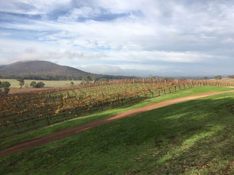 Sanguine Estate - Darwin Holiday 5