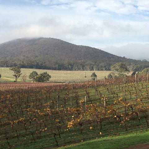 Sanguine Estate - Darwin Holiday 6