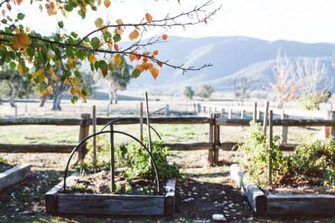 Alpine Edge Accommodation - Darwin Holiday 5