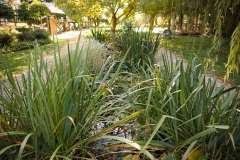 Old Stone House, The - Darwin Holiday 1