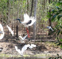 Rakhi Retreat - Darwin Holiday