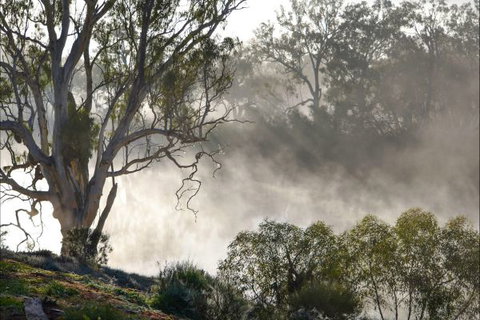 River Shack Rentals - Living The Dream - Darwin Holiday 57