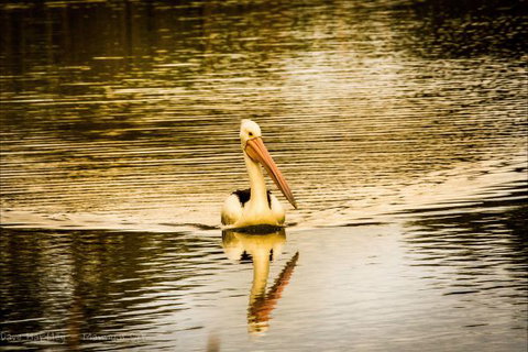 River Shack Rentals - Living The Dream - Darwin Holiday 55