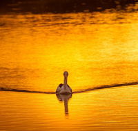 River Shack Rentals - Living the Dream - Darwin Holiday