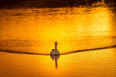 River Shack Rentals - Living The Dream - Darwin Holiday 0