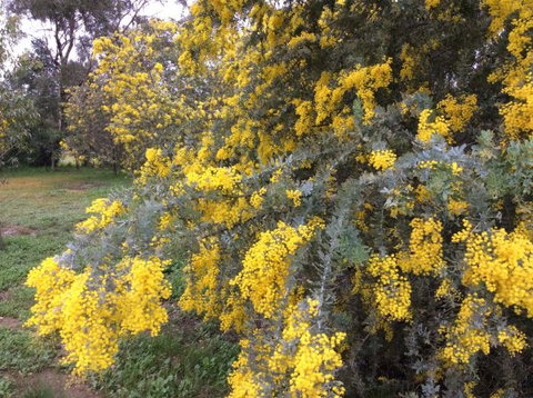 Balcraggon Accommodation - Darwin Holiday 8