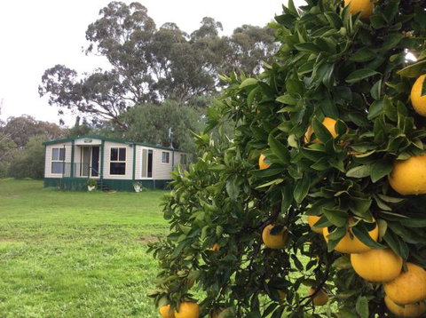 Balcraggon Accommodation - Darwin Holiday 9