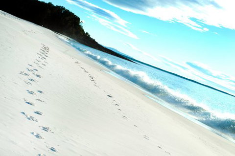 Seaglass - Darwin Holiday 35