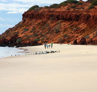 Herald Bight Camp at Francois Peron National Park - Darwin Holiday