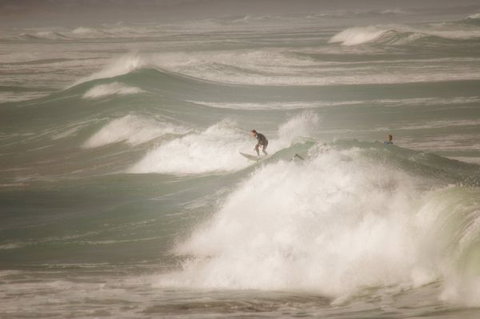 Norfolks - Darwin Holiday 6