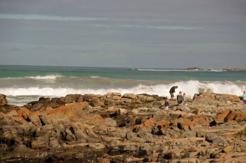 Norfolks - Darwin Holiday 7