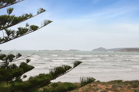 Willows - Darwin Holiday 9