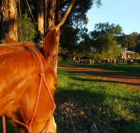 Billa Billa Farm Cottages - Darwin Holiday