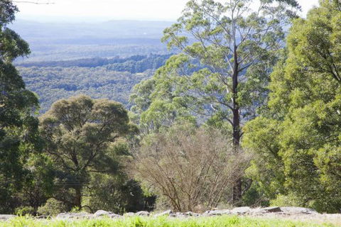 The Jungle Lodge, Blue Mountains Botanic Gardens - Darwin Holiday 6