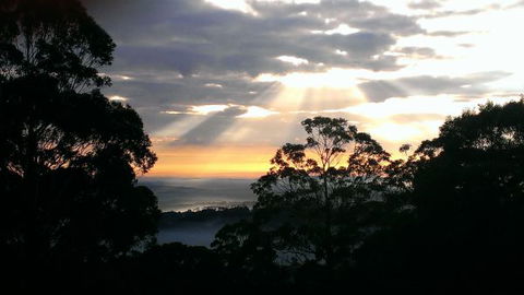 The Jungle Lodge, Blue Mountains Botanic Gardens - Darwin Holiday 8