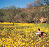Miners Camp at Coalseam National Park - Darwin Holiday