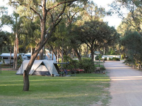 Riverbend Caravan Park Renmark - Darwin Holiday 1