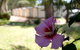 Riverbend Caravan Park Renmark - thumb 3