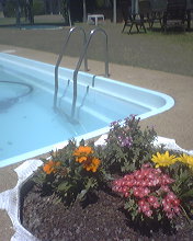 Gunning Motel - Darwin Holiday 2