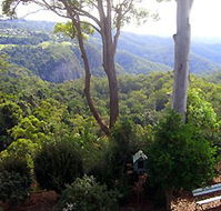 Mt Tamborine Motel - Darwin Holiday