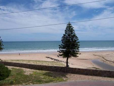 Christie's Seahorse - Darwin Holiday 1